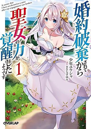 Cover image for the novel called It Seems that I Have Awakened As a Saint After My Engagement Was Broken