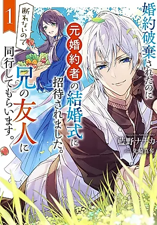 Cover image for the novel called so My Brother’s Friend Accompany Me