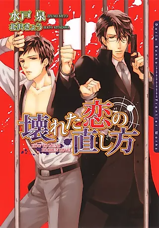 Cover image for the novel called How to Mend Broken Love