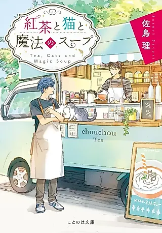 Cover image for the novel called Cats and Magic Soup