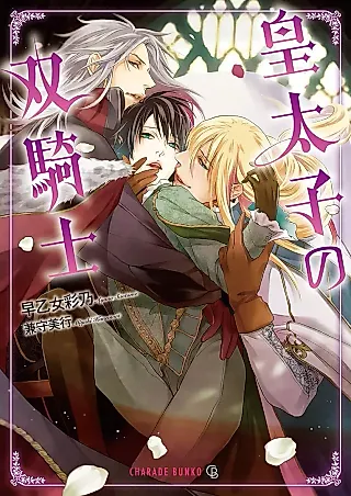 Cover image for the novel called Koutaishi no Sou Kishi