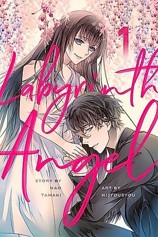 Cover image for the novel called Labyrinth Angel