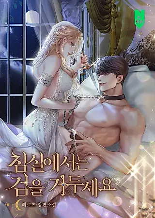 Cover image for the novel called Lay Down Your Sword in the Bedroom