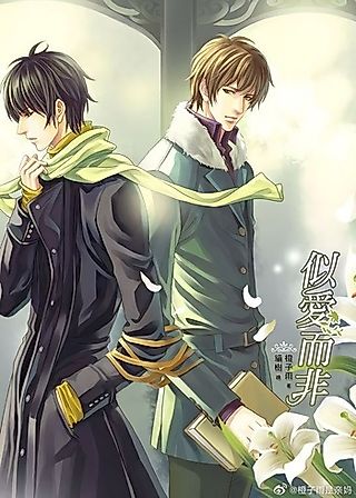 Cover image for the novel called Like Love But Not