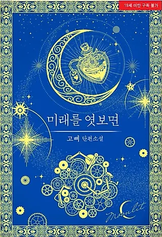 Cover image for the novel called Peeking into the Future