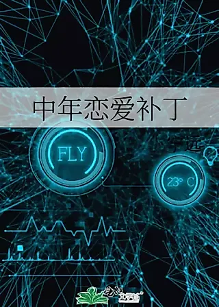 Cover image for the novel called Middle-aged Love Patch