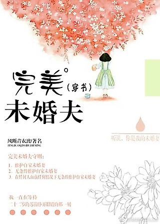Cover image for the novel called Perfect Fiancé