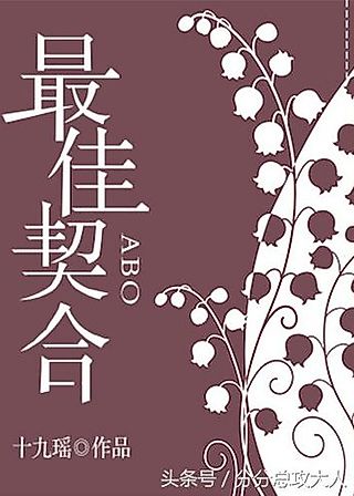 Cover image for the novel called Perfect Match