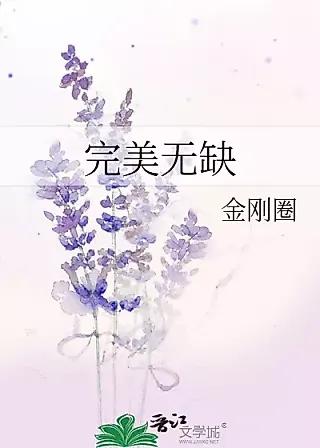 Cover image for the novel called Perfection