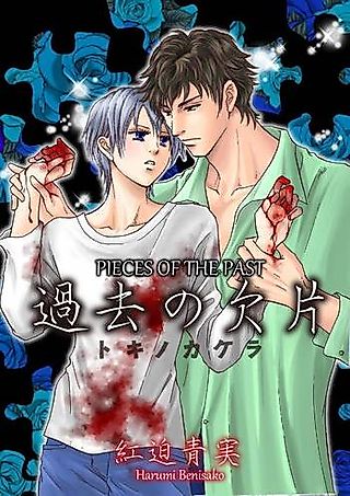 Cover image for the manga called Pieces of the Past