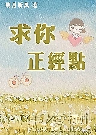 Cover image for the novel called Please Be More Serious