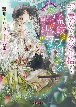 Cover image for the novel called Ponkotsu Majo desu ga, Bishounen Hiroimashita Noroi ga Toketara, Ecchi na Moukou Prince ni Seichou Suru nante Kiitemasen!?