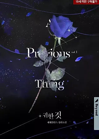 Cover image for the novel called Precious Thing