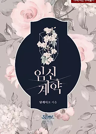 Cover image for the novel called Pregnancy Contract