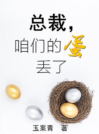 Cover image for the novel called President, Our Egg is Lost