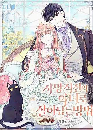Cover image for the novel called Princess Eveness Saves Herself