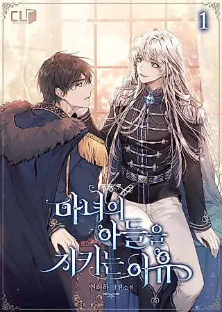 Cover image for the novel called Protecting the Witch's Son
