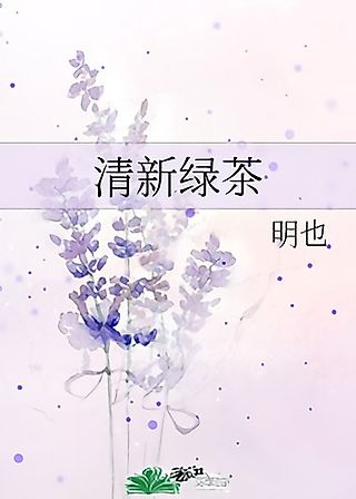 Cover image for the novel called Qingxin Lucha