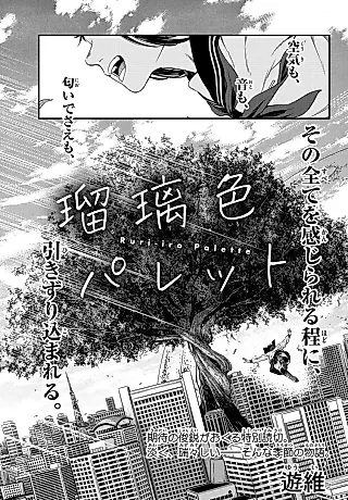 Cover image for the manga called Ruriiro Palette