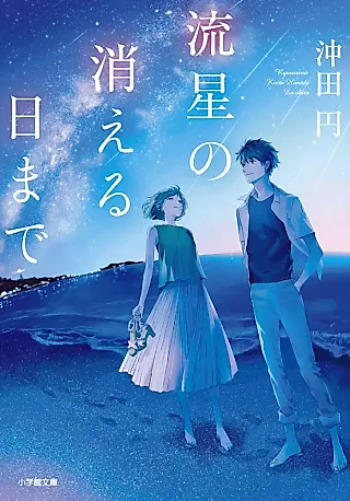 Cover image for the novel called Ryuusei no Kieru Hi made