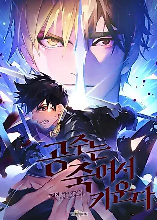 Cover image for the novel called Raising the Princess After Her Death