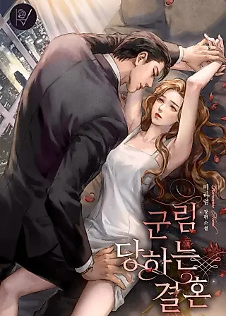 Cover image for the novel called Reigned Wedding