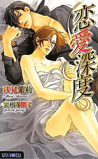 Cover image for the novel called Renai Shindo