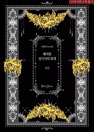 Cover image for the novel called Repentance of the Immoral Paladin