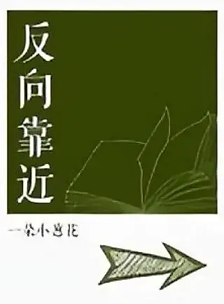 Cover image for the novel called Reverse Approach