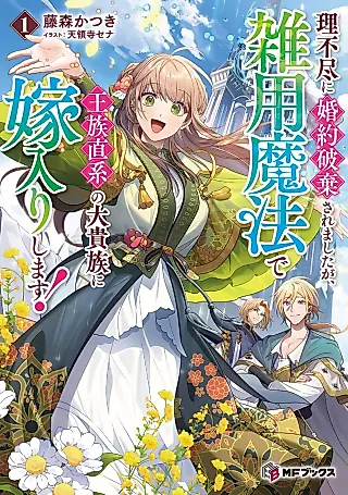 Cover image for the novel called Rifujin ni Konyaku Haki Saremashita ga, Zatsuyou Mahou de Ouzoku Chokkei no Dai Kizoku ni Yome Iri Shimasu!