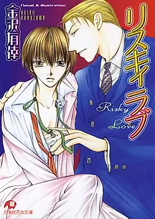 Cover image for the novel called Risky Love