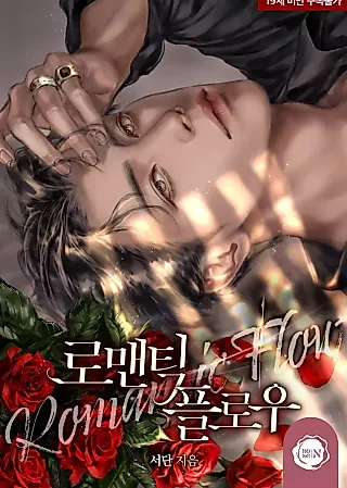 Cover image for the novel called Romantic Flow