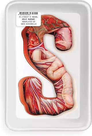Cover image for the novel called S