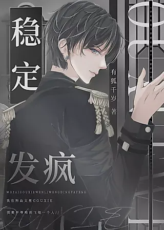 Cover image for the novel called Stabilizing Madness