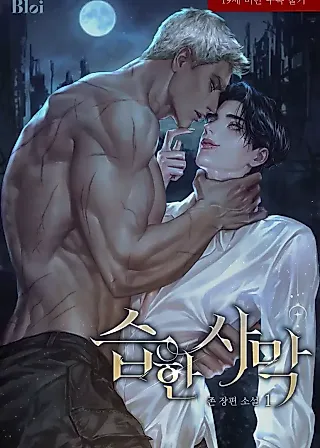 Cover image for the novel called Steamy Desert