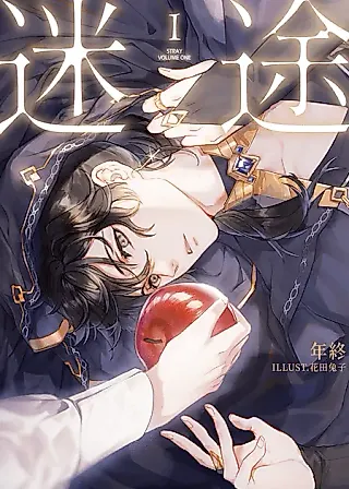Cover image for the novel called Stray