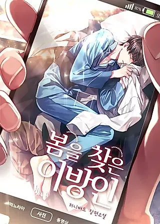 Cover image for the novel called Stranger Who Found Spring