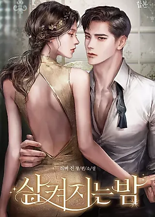 Cover image for the novel called Suffocating Night