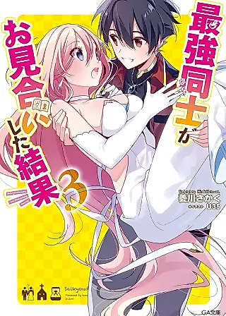 Cover image for the novel called Saikyou Doushi ga Omiai Shita Kekka