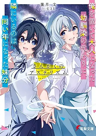 Cover image for the novel called Summer Triangle