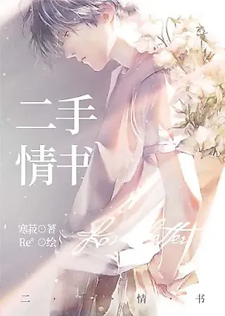 Cover image for the novel called Second-Hand Love Letter