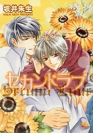 Cover image for the novel called Second Love