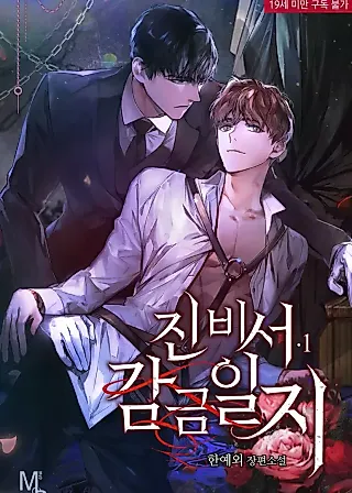 Cover image for the novel called Secretary Jin's Confinement Diary