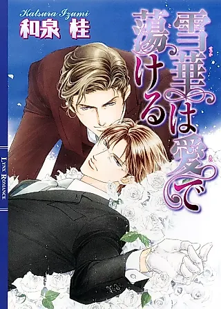 Cover image for the novel called Sekka wa Ai de Tokeru