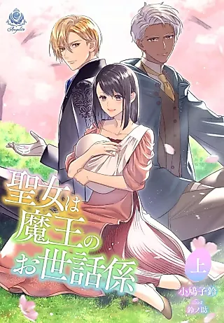 Cover image for the novel called Seijo wa Maou no Osewagakari