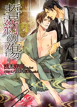 Cover image for the novel called Seiyaku no Kizu