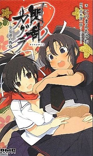 Cover image for the novel called Senran Kagura: Shoujo-tachi no Seishun