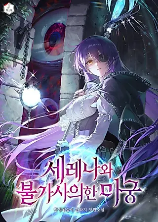 Cover image for the novel called Serena and the Mysterious Labyrinth