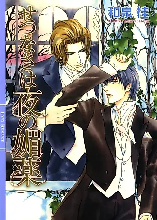 Cover image for the novel called Setsunasa wa Yoru no Biyakku