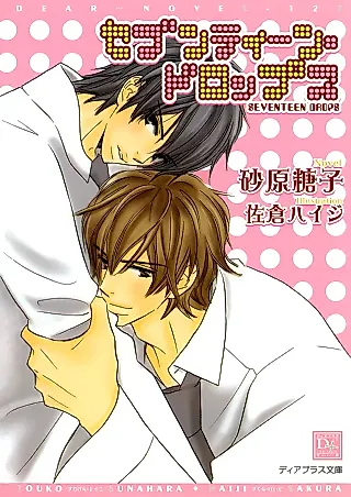 Cover image for the novel called Seventeen Drops